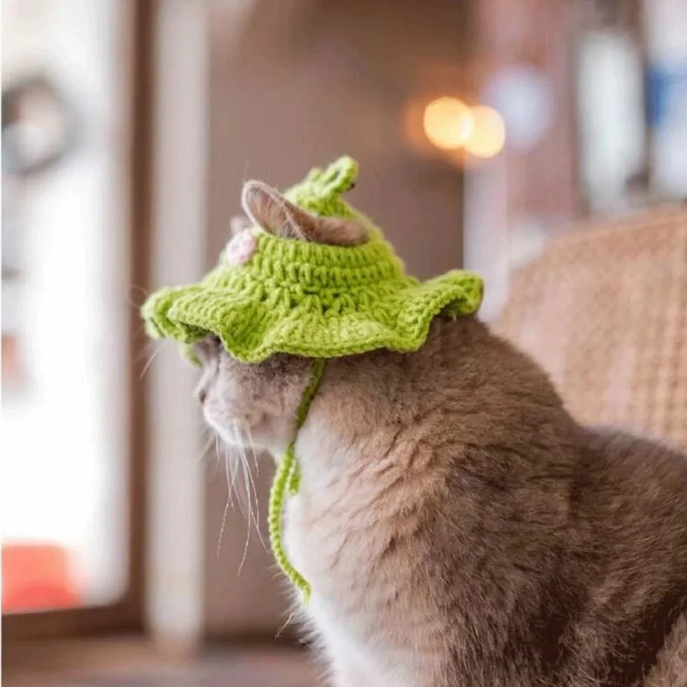 1pc Frog Design Knitted Pet Hat